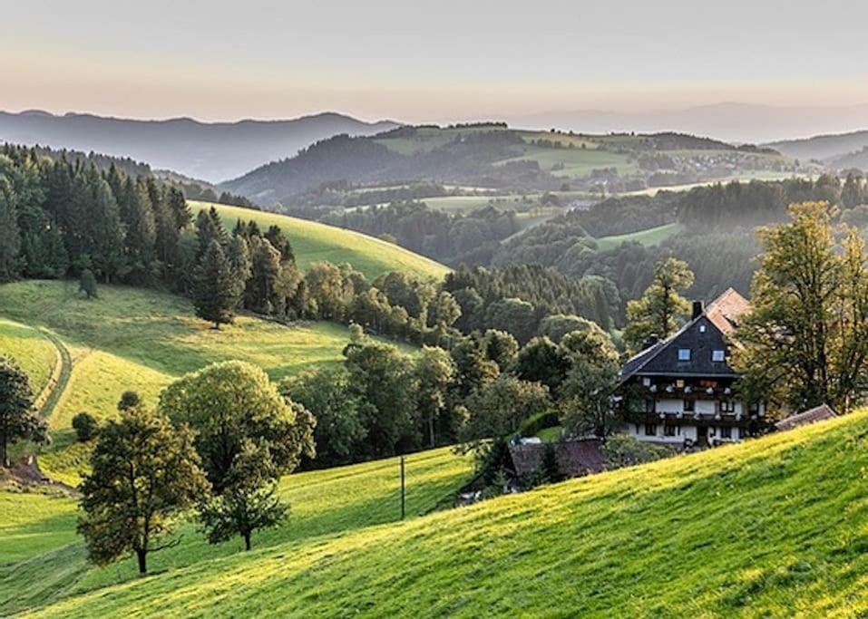 Ferienwohnung Lotti + Hochschwarzwald Card Titisee-Neustadt Kültér fotó