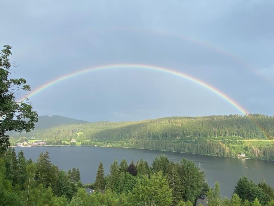 Ferienwohnung Lotti + Hochschwarzwald Card Titisee-Neustadt Kültér fotó