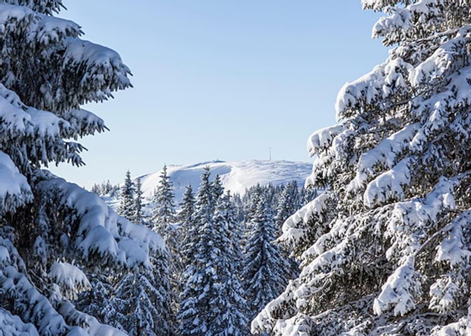 Ferienwohnung Lotti + Hochschwarzwald Card Titisee-Neustadt Kültér fotó