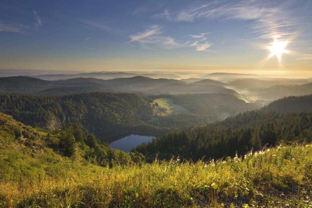 Ferienwohnung Lotti + Hochschwarzwald Card Titisee-Neustadt Kültér fotó