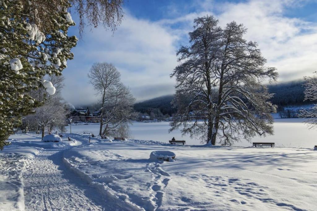 Ferienwohnung Lotti + Hochschwarzwald Card Titisee-Neustadt Kültér fotó