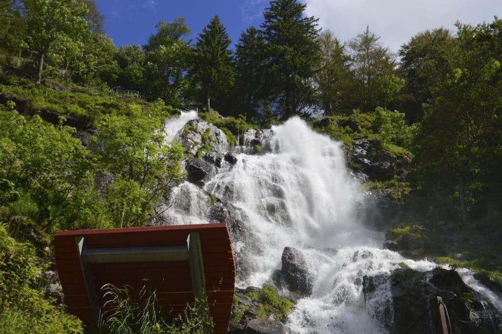 Ferienwohnung Lotti + Hochschwarzwald Card Titisee-Neustadt Kültér fotó