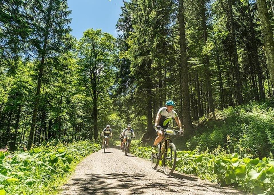 Ferienwohnung Lotti + Hochschwarzwald Card Titisee-Neustadt Kültér fotó